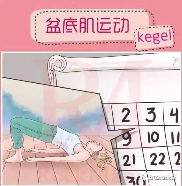 瓜老师的日记排行 本产品弱化了纯工具属性