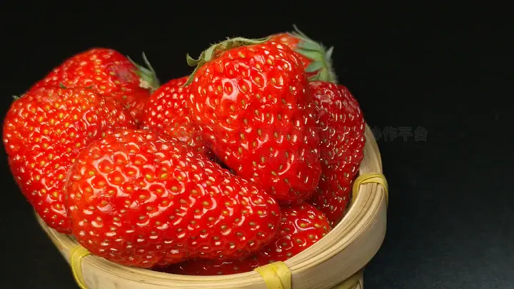 99久酒店在线精品2019 