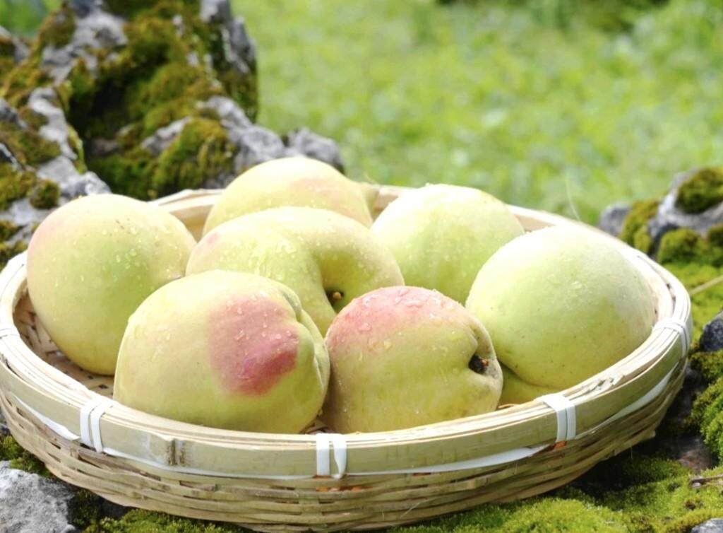 无限臂 无限臂封闭的无限臂设备