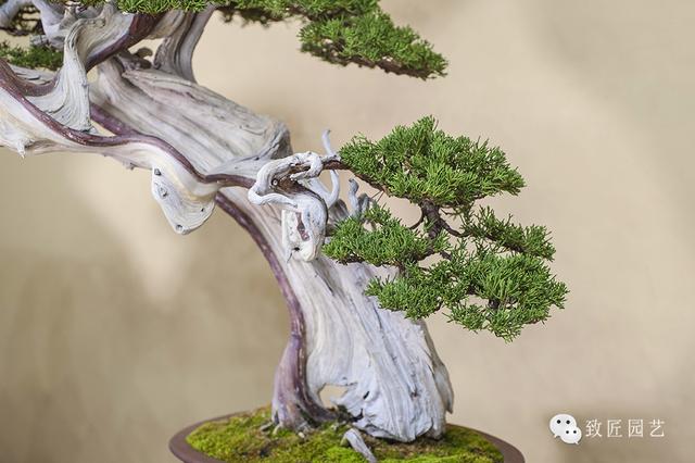 acg动漫剧情3d同人动漫剧情vam动漫剧情