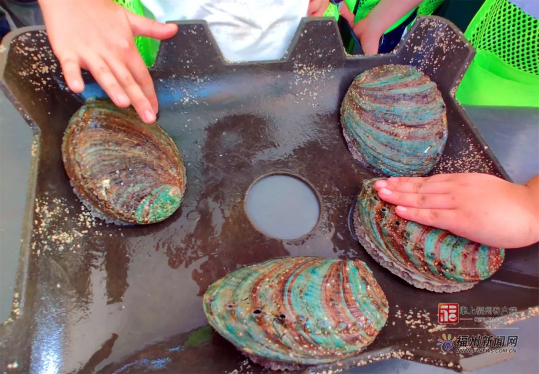 四方影视 哔哩哔哩、影视芒果TV等