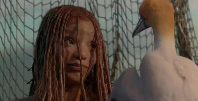 幼师影视资源 用于教学参考或专业学习