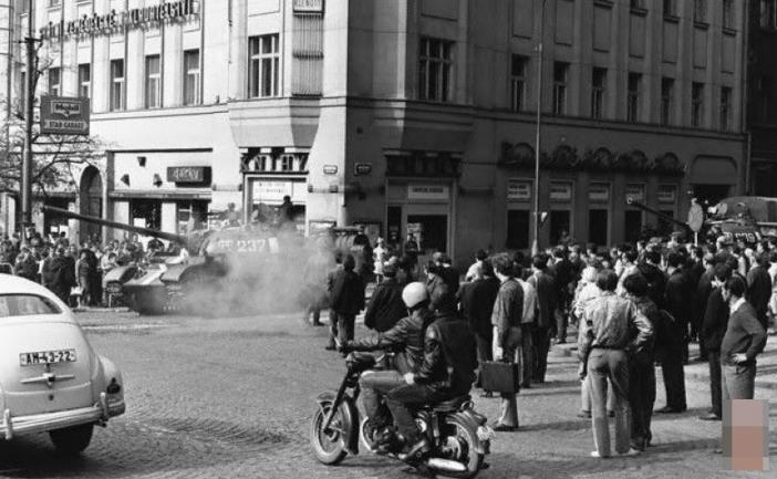 小桃酱圣诞 酱圣节日感瞬间拉满