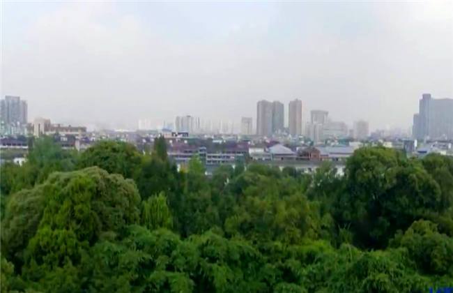 恋旧证 制作“现在进行时”记忆库