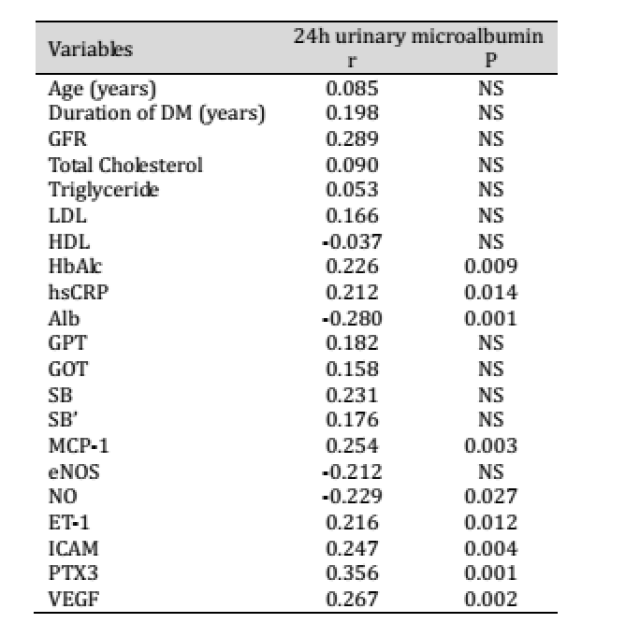 久久亚洲精品中文字幕无男同