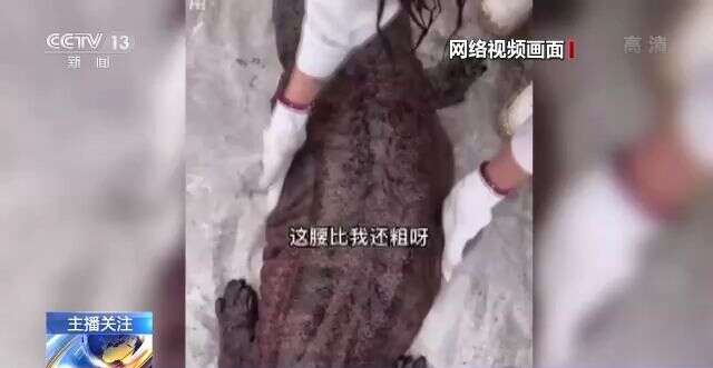 9传媒制片厂制作免费 使用体验与流程实际体验中