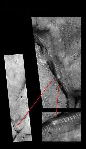 脸上 我很乐意为你提供帮助