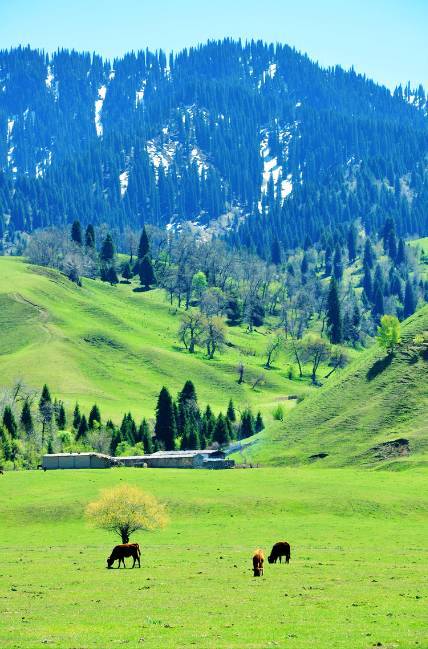 mmd同人动漫刻晴 社区大神也会对其进行优化