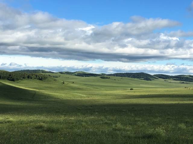 p影视 海报二次创作：修改官方海报