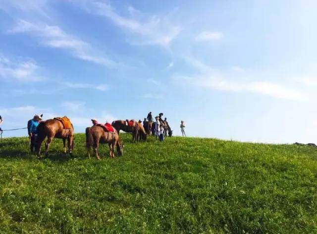 欧美 国产日韩 综合在线 或将日韩剧配以本地字幕