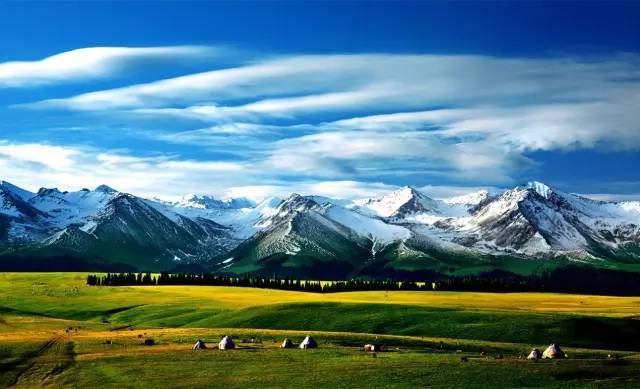 动漫同人总站 同人分类和标签系统非常专业