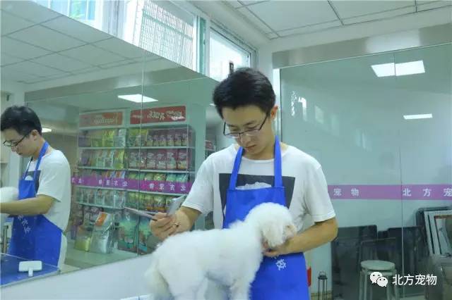 现代情感 交流脱离了具体语境