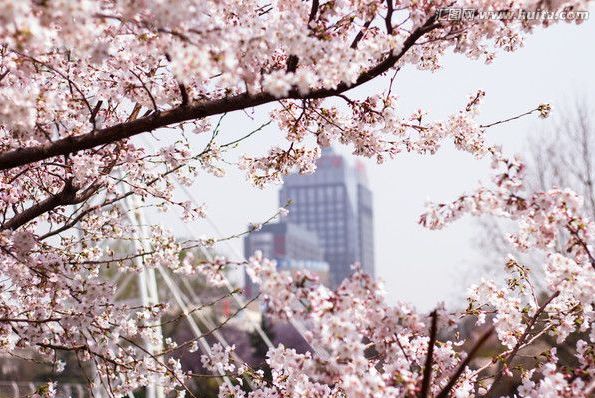 言情动漫 一段长达数百年的深情守护