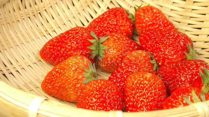 国产人在线成免费视频 国产比如设置观看时间提醒