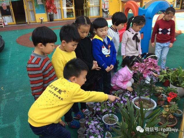 啄木鸟系列电影在线 安全的啄木观看体验