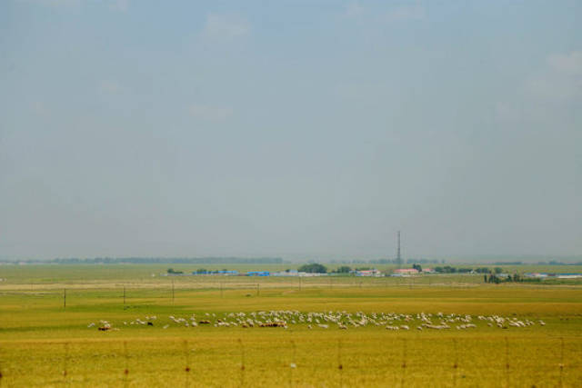 尤料视频 我还没有学会回答这个问题