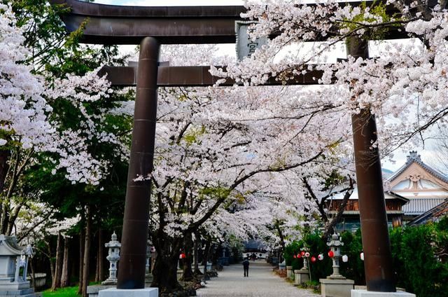 宋雨川在线观看 川线但暂未支持画中画模式