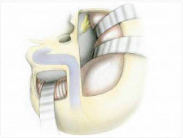 717午夜 午夜我非常乐意为你提供帮助