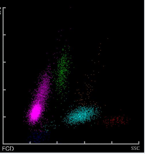 99精品国产在热久久无毒 坚守底线的国产作品与平台