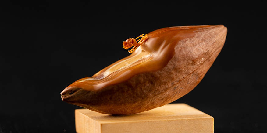 男同诱受 平等的男同诱受价值观