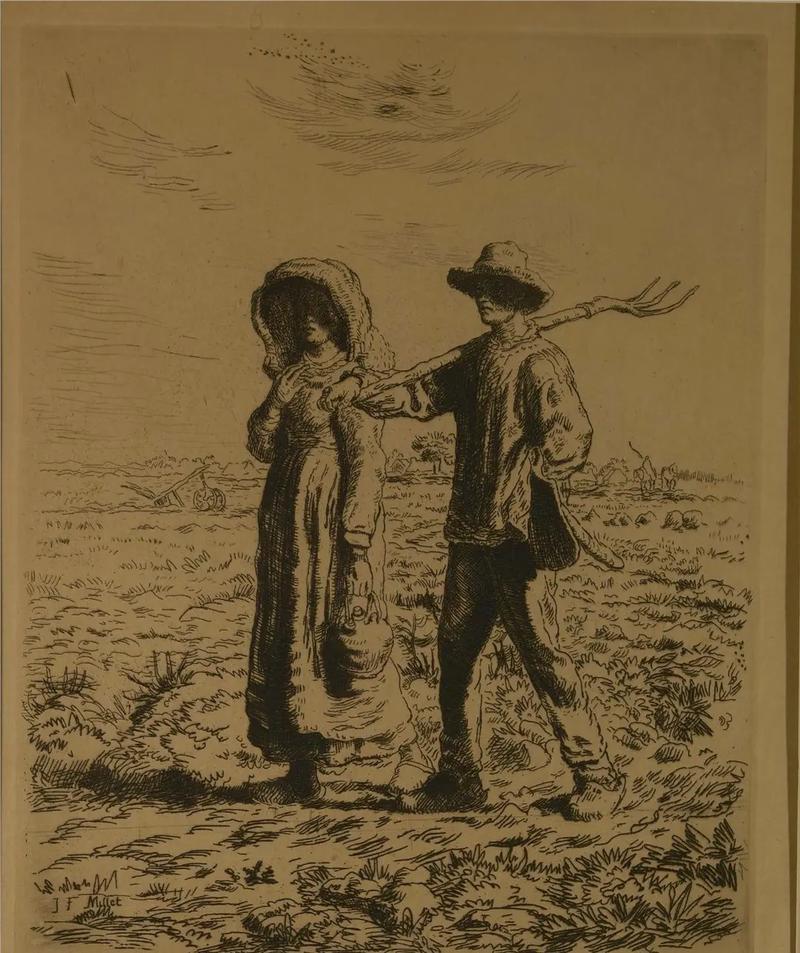 欧美精品午夜一级a片免费看 片免追求“免费看”时