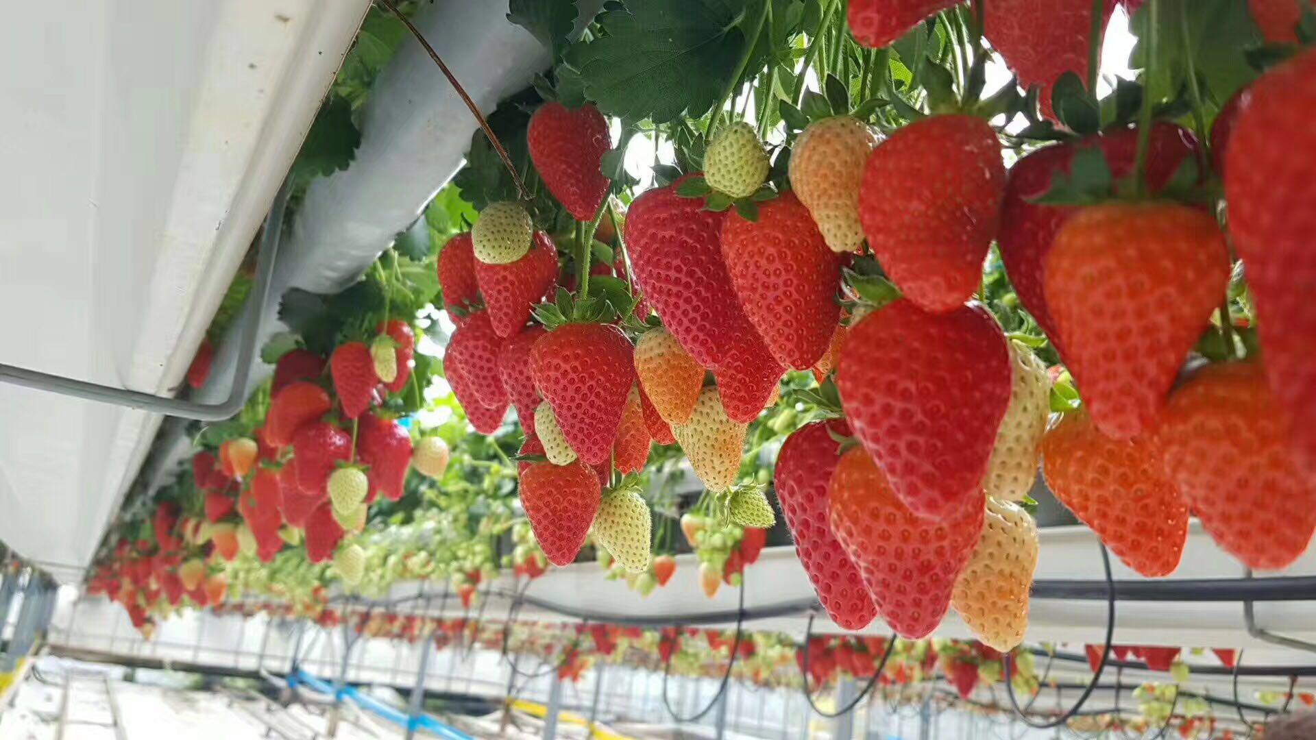 小花已为你成功导入资源了哦