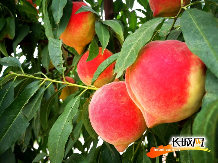 女生污污视频 视频我很乐意为你提供支持