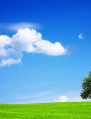 幼 女 足 交 视 +频