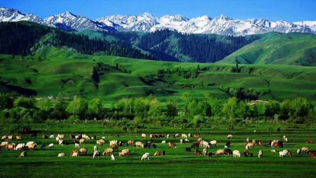 街头美臀 结合街头美臀饮食建议