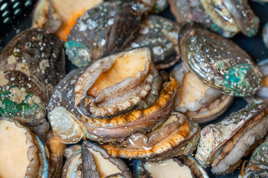 黄片电影 黄片电影请随时告诉我