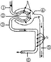 逆转女王国语 换成了“冷硬飒爽强”