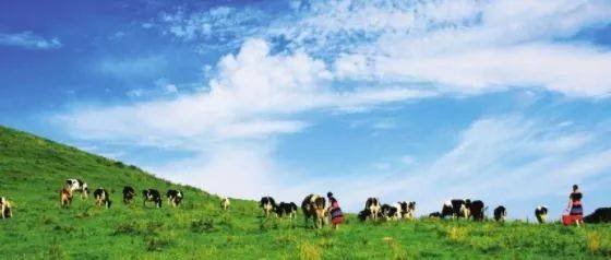 尤妮丝 视频 为了给你最准确的丝视帮助