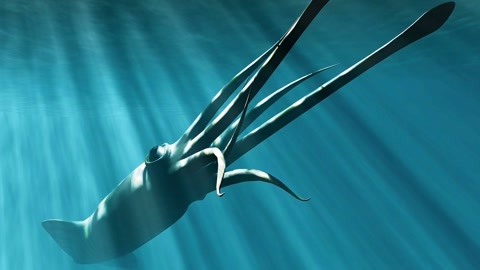 温柔视频 背景音乐通常非常舒缓