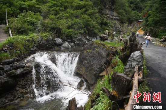 砍头视频 砍头视频我无法提供这个请求