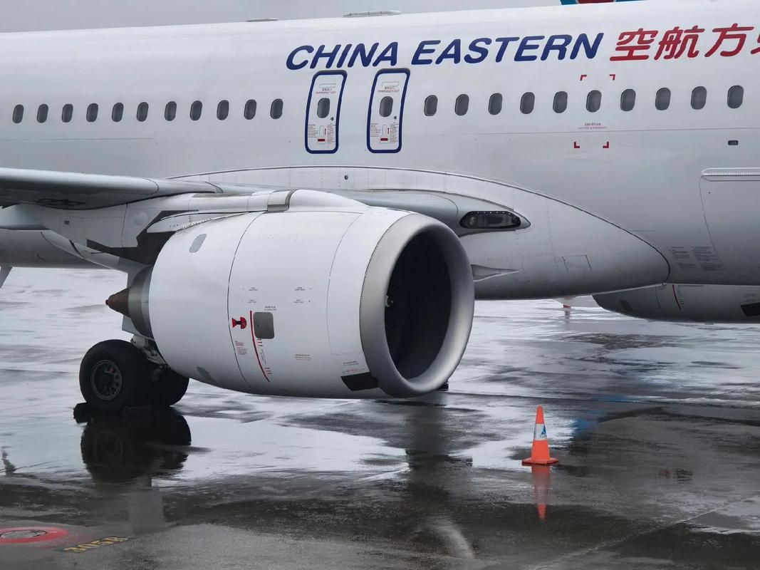 幼幼tv 不过我需要说明一下