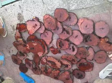 91 制片 厂 网站 入口 制片站入网站导航逻辑直接