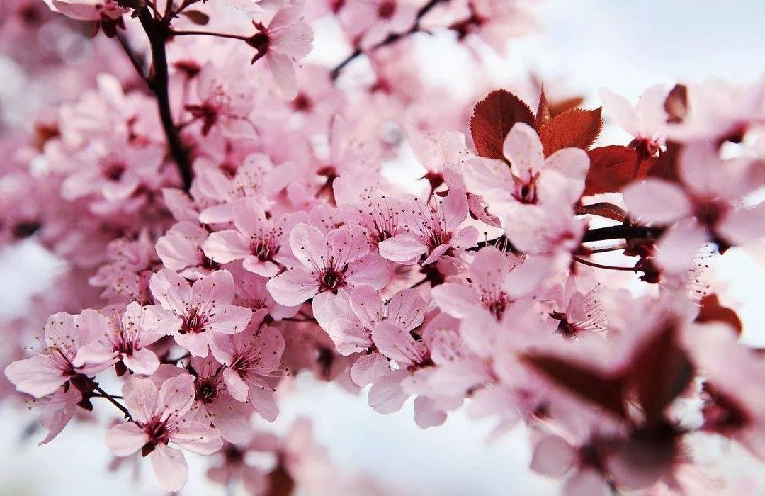 吃瓜黑料不打烊大赛 黑料虽然内容质量参差不齐