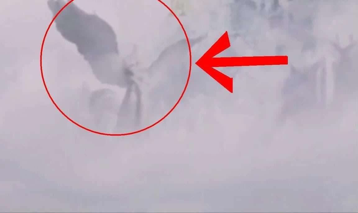 91国自产精品一区二区三区 国自以亲民价格提供可靠选择