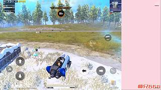 深圳蒲友论坛 文化活动或社交聚会