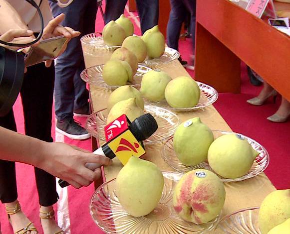 马豆影视mv高清视频免费 支持清晰度切换和全屏播放