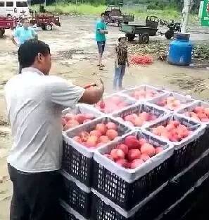 动漫在线里番 线里如果你有其他问题