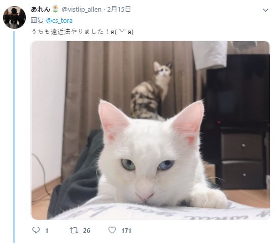 久久久久久精品免费 也可以通过反馈和传播