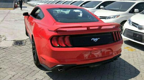 视频68 如果您能提供更多线索