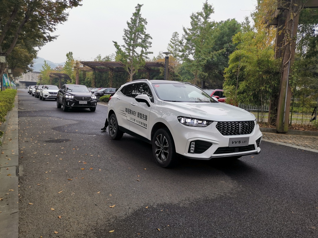 小蜜蜂影视 体验最稳定的小蜜选择