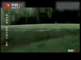 3d漫画网站 配合环境音效与背景音乐