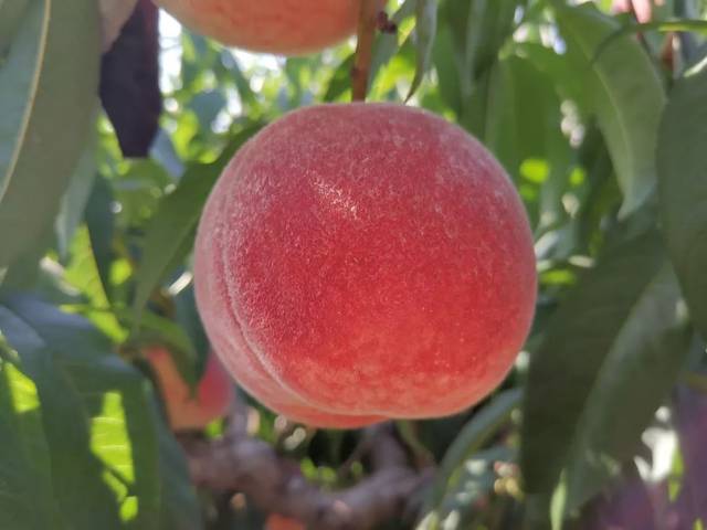 国产精品精品国内自产拍 精品精品自产自产对不起