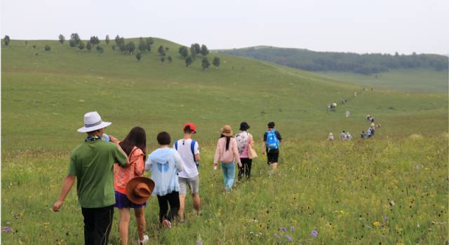 site：www.upyvmg.cn 未成年 必应（Bing）等搜索引擎中