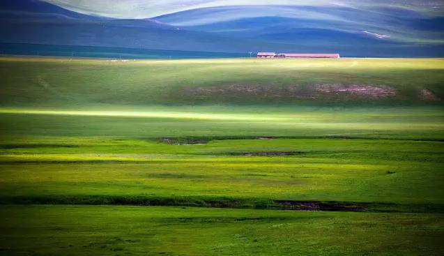 97久久精品无码一区二区天美 久久精品偶尔会有弹窗广告