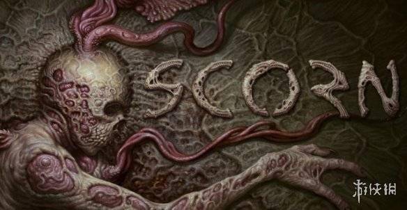 今日看料怎么没了