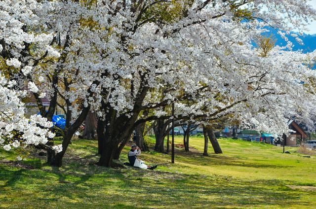 死亡禁区实录电影
